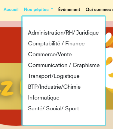 site web